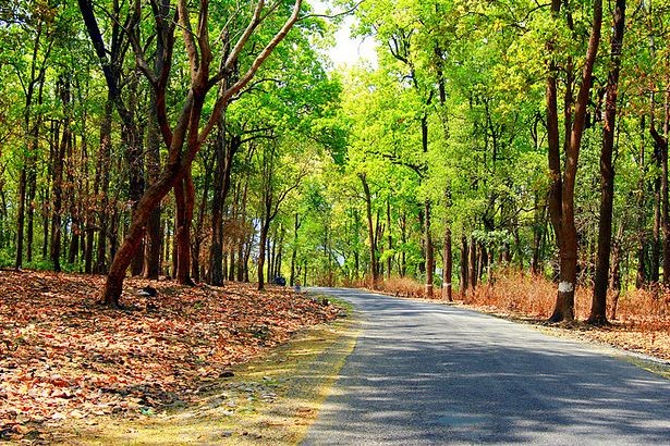 Nainital - Jim Corbett - Mussoorie